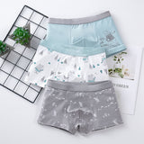 Boys Soft Boxers Back To School Clothes Cute Briefs for Teenage Kids Thong Underwear Cotton Underpants Children Panties Shorts