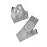 44469388837112|44469388869880|44469388902648