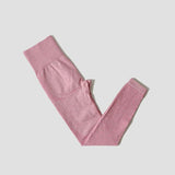 44469377597688|44469377630456|44469377663224