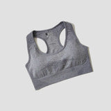 44469373436152|44469373468920|44469373501688