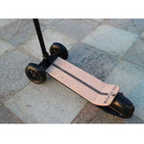 Tricycle Electric Bike Scooter With Seat 2 Wheels Electric Bicycles 48V 450W Brushless Motor 8.5 inch Portable Electric eBike