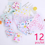 12Pcs/Lot Cotton Panties Girls Kids Short Briefs Children Underwear Child Cartoon Shorts Underpants Girl Panties Cute Summer New