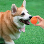 Dog Ball Indestructible Chew Bouncy Rubber Ball Toys Pet Dog Toy Ball with String Interactive Toys for Big Dog Puppy Games Toys