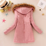 2023 New Autumn Winter Women Cotton Jacket Padded Casual Slim Coat Emboridery Hooded Parkas Wadded Warm Overcoat