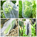 50/100pcs Grapes Fruit Grow Bags Netting Mesh For Strawberry Vegetable Plant Protection Gift Organza Bags Anti-Bird Garden Tools