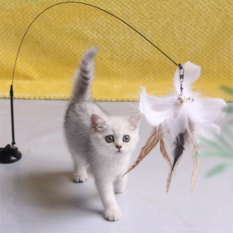 Cat Toy Funny Cat Toys Interactive Self Hi Feather Toys for Cats Tease Bite Resistant Cats Toy with Sucker Stick Pet Supplies