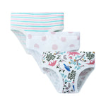 3pairs/lot  Girls Panties Cotton Kids Underwear Cartoon Printed 2 to 10 Yrs Children&#39;s Kit Briefs Student Batch of Clothes