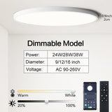 0.9inch Ultra-thin Ceiling lamp Smart APP/Remote Control LED Ceiling lights for Room Dimmable Panel light for Living Room Kichen