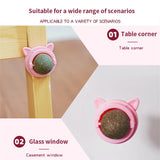 Catnip Wall Ball Cat Toys Pet Toys For Cats Clean Mouth Promote Digestion Kittens Mint Licking Snacks Mint Ball Cat Accessories