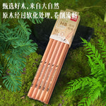 DELI Natural Wooden Pencil 2B HB 10PCS Pack Black Lead Wood Writing Pencils Office School Stationery