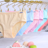 4Pcs/lot Girls Briefs Panties Cotton Teen Underwear Little Toddler  8-14Y