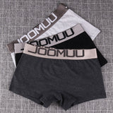 Popular Solid Women&#39;s Cotton Panties Boxer Underwear Ladies Breathable Letter Belt Briefs Sexy Sports Female Knickers Boyshorts