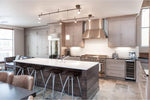 2020 contemporary kitchen cabinets  Kitchen remodel CK330
