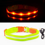 IPX7 Waterproof LED Dog Collar Christmas USB Charging Collar For Dogs Puppies Anti-Lost lead Pet Products Dog Accessories