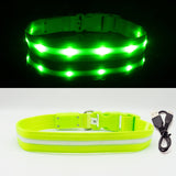 IPX7 Waterproof LED Dog Collar Christmas USB Charging Collar For Dogs Puppies Anti-Lost lead Pet Products Dog Accessories