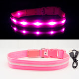 IPX7 Waterproof LED Dog Collar Christmas USB Charging Collar For Dogs Puppies Anti-Lost lead Pet Products Dog Accessories